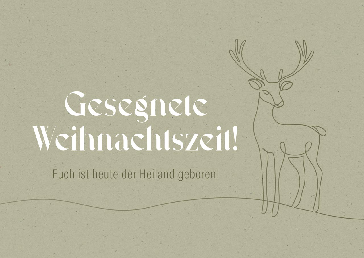fontis-gesegnete-weihnachtszeit-postkarten-12er-set-bibelvers image 1