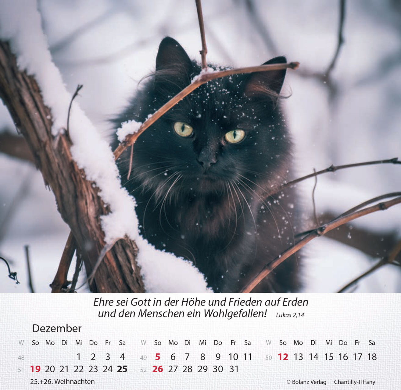 fontis-kalender-katzen-2027-aufstellkalender-tischkalender image 6