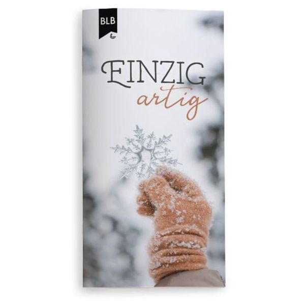 fontis-verlag-einzigartig-faltkarte-weihnachten-holzanh-nger image 1