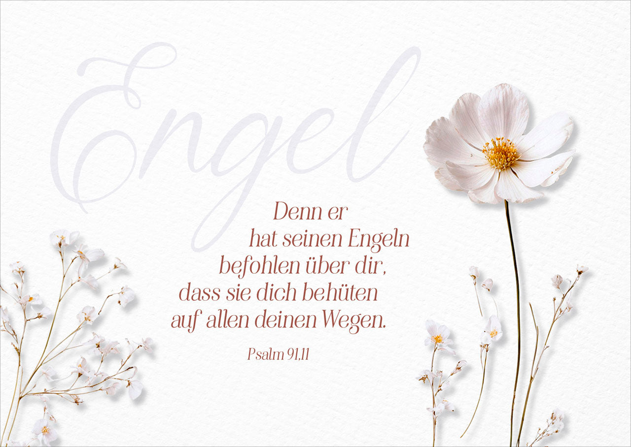 fontis-papeterie-engel-postkarten-12er-set-psalm-91-11 image 1