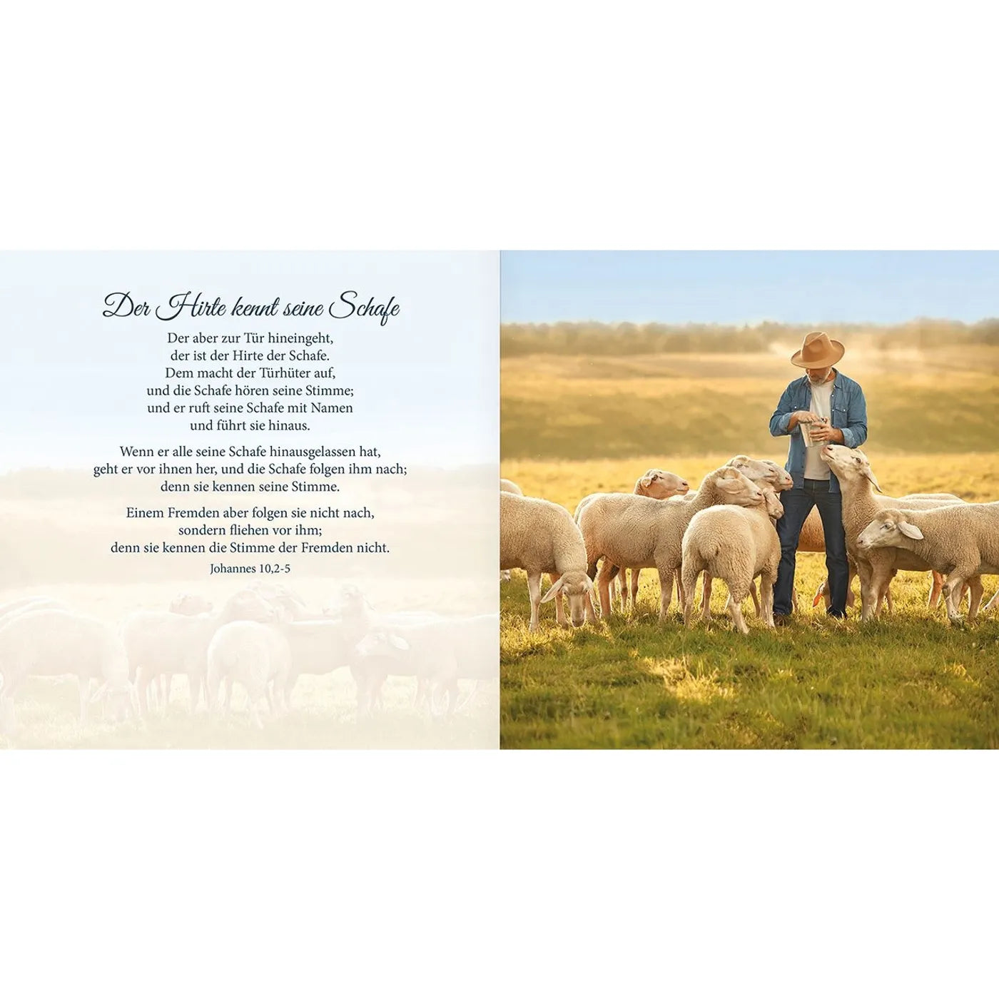 fontis-b-cher-psalm-23-bildband-gebunden-der-herr-ist-mein-hirte-geschenk image 4