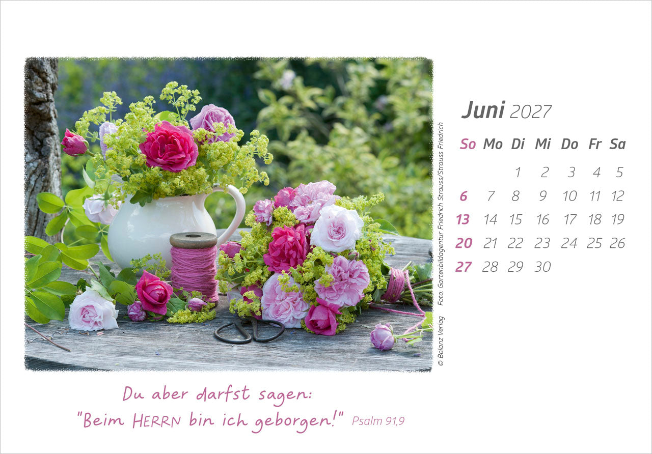 fontis-kalender-die-g-te-gottes-preisen-2027-aufstellkalender-blumen image 8
