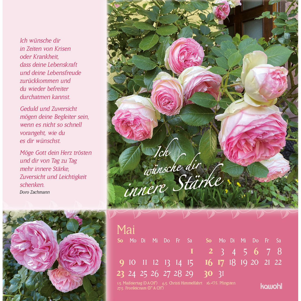 fontis-kalender-rosenduft-mit-lieben-w-nschen-2027-postkarten image 7