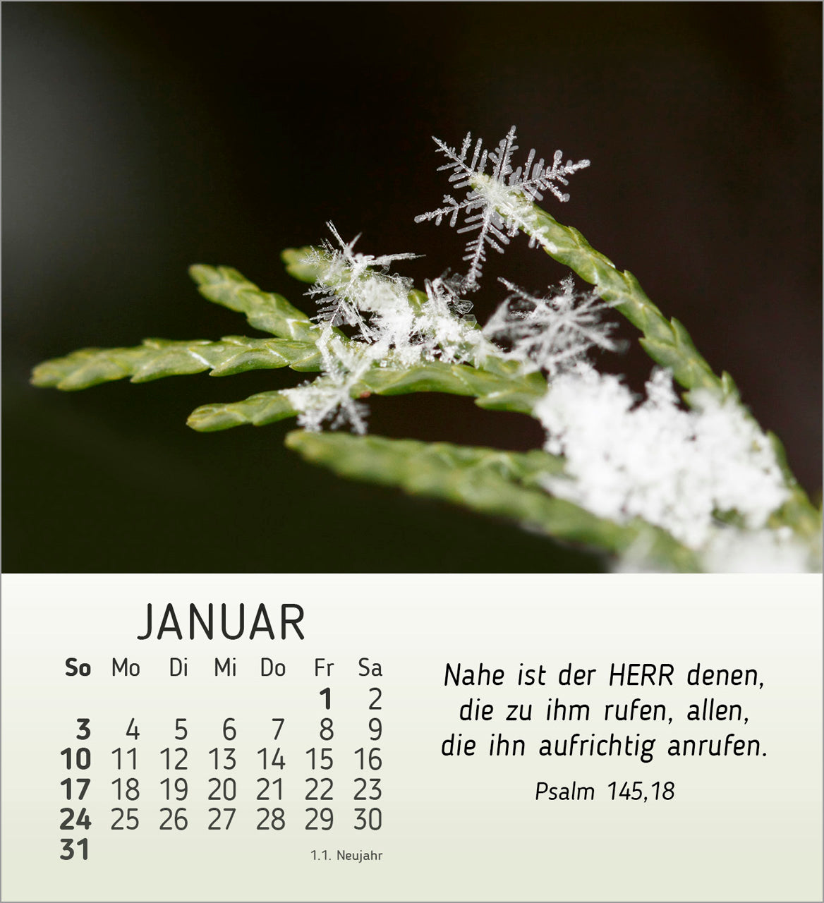 fontis-stille-begegnungen-2027-aufstellkalender-natur-bibelverse image 3