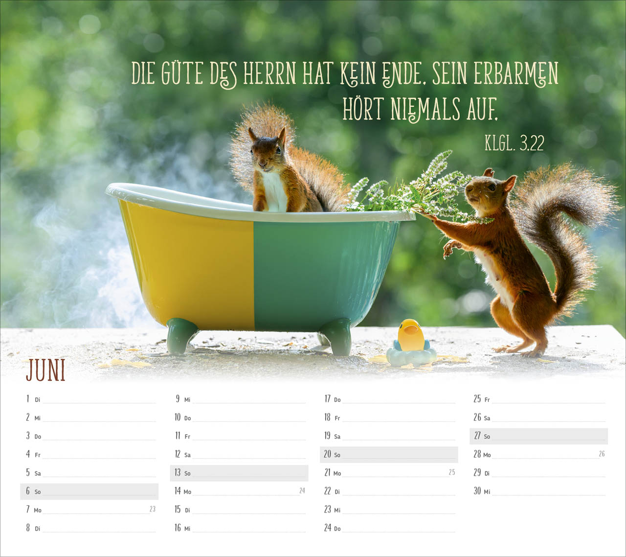 fontis-kalender-du-sorgst-f-r-mich-2027-postkartenkalender-eichh-rnchen image 8