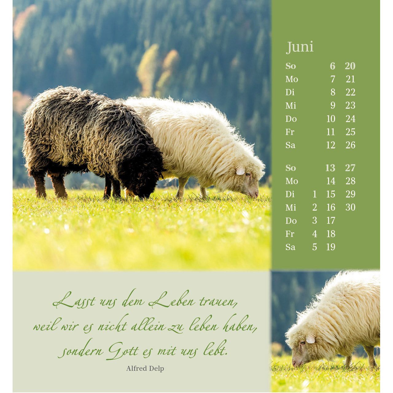 fontis-kalender-sei-beh-tet-und-geborgen-2027-aufstellkalender-psalm-23 image 8