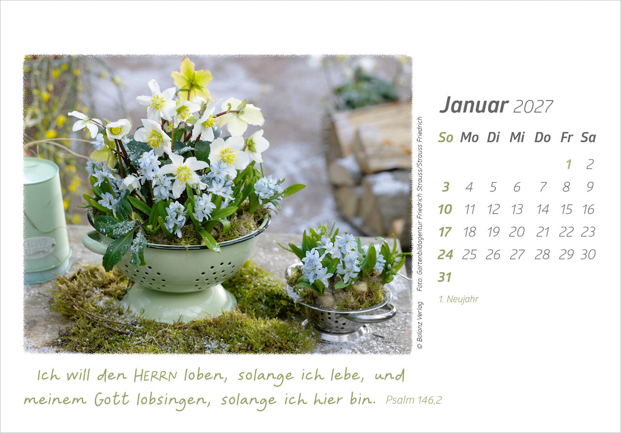 fontis-kalender-die-g-te-gottes-preisen-2027-aufstellkalender-blumen image 3