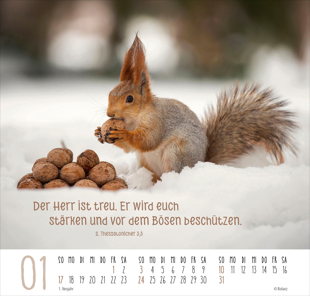bolanz-beste-freunde-ich-mag-dich-2027-posterkalender image 3