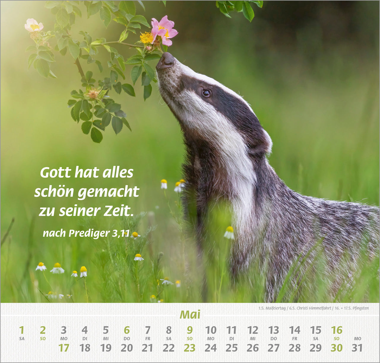 ich-hab-dich-gern-2027-wandkalender-tier-motive-spiralbindung image 7
