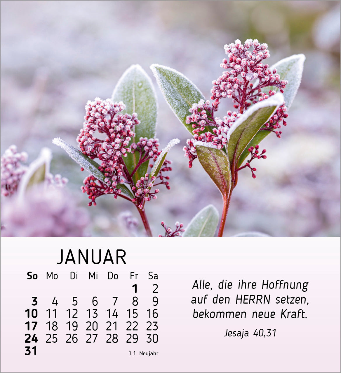ich-w-nsch-dir-freude-2027-aufstellkalender-blumen image 3