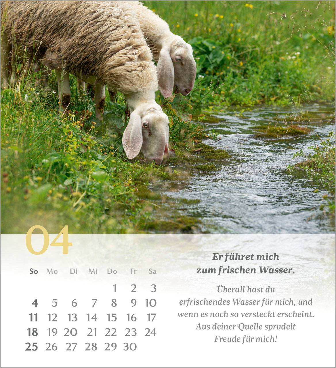 psalm-23-der-herr-ist-mein-hirte-2027-aufstellkalender image 6