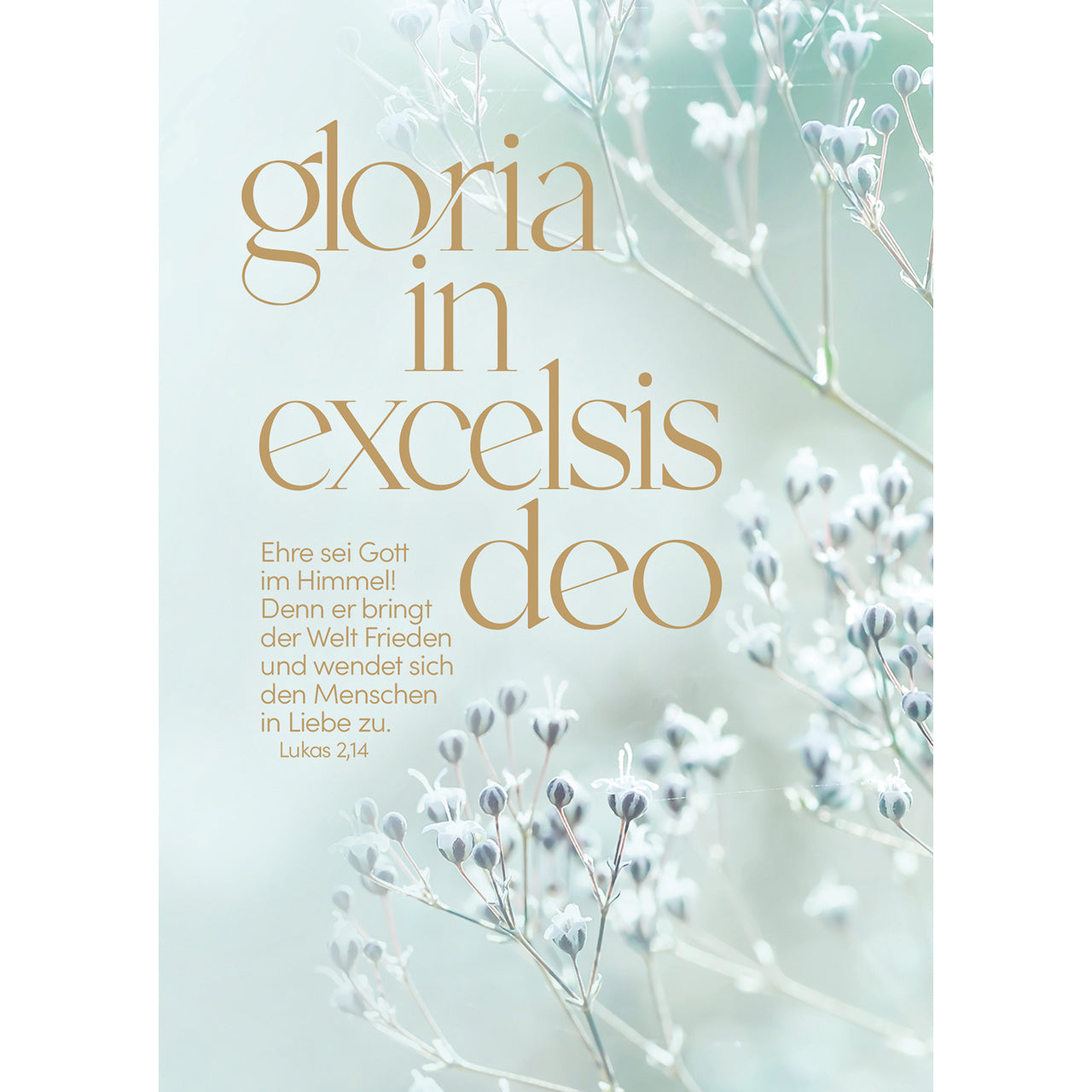 fontis-papeterie-gloria-in-excelsis-deo-weihnachts-postkarten-12er-set image 1