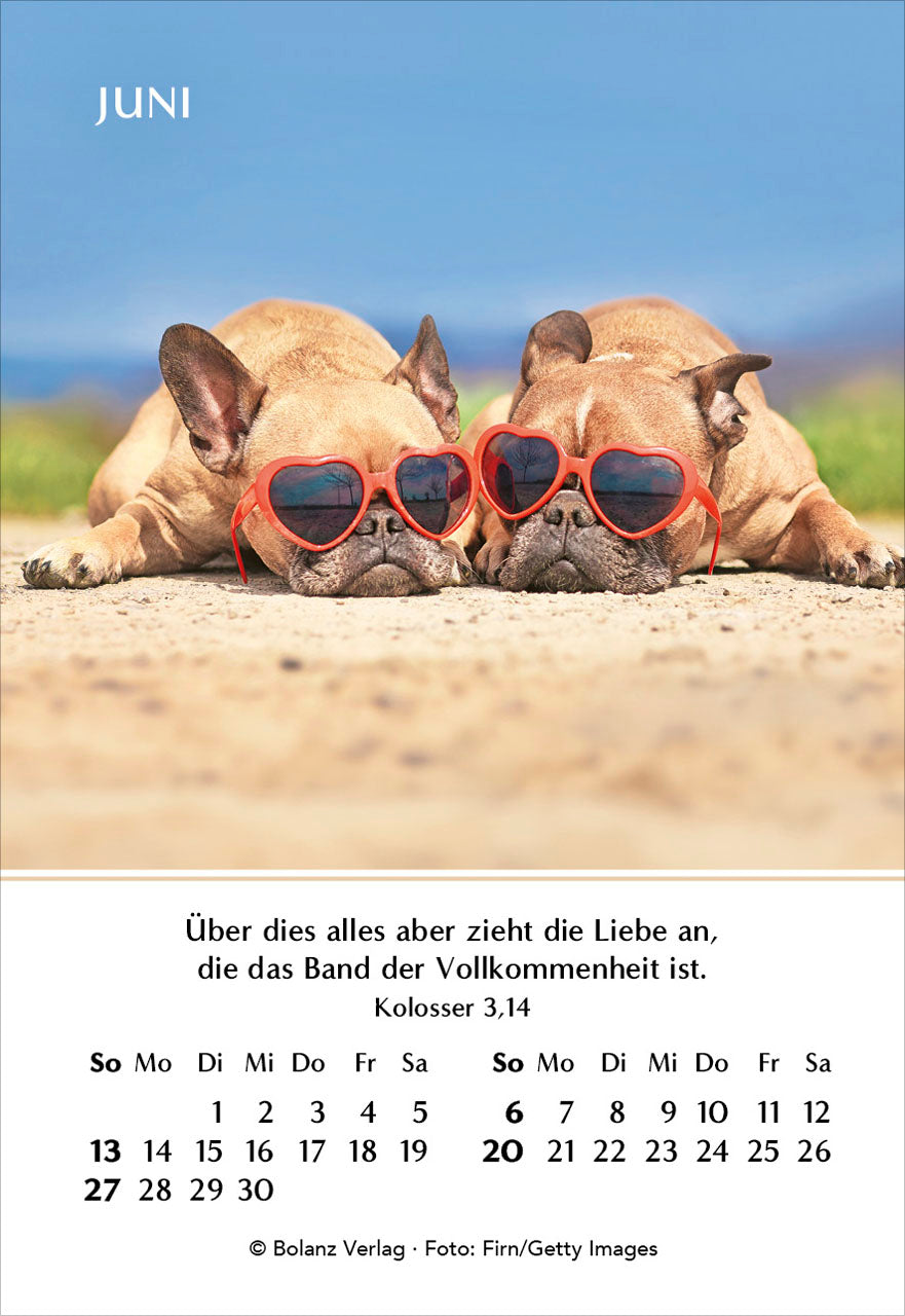 fontis-kalender-ein-jahr-der-geborgenheit-2027-minikalender-7-5x10-9 image 8