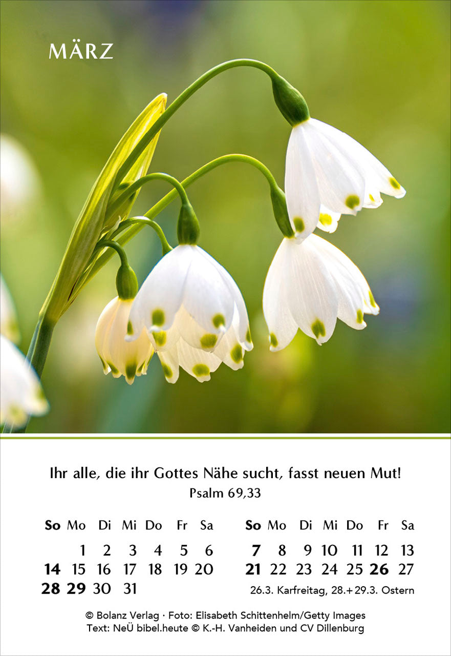fontis-kalender-ein-jahr-der-freude-2027-minikalender-blumen image 5