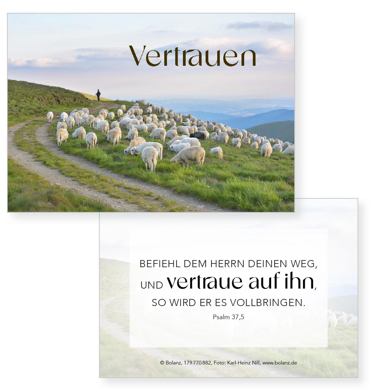 fontis-der-herr-ist-mein-hirte-neujahrslose-100-k-rtchen image 7