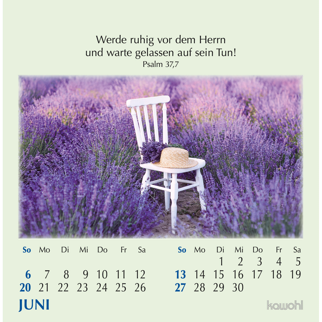 fontis-kalender-worte-des-lebens-2027-postkartenkalender-mit-psalmen image 8
