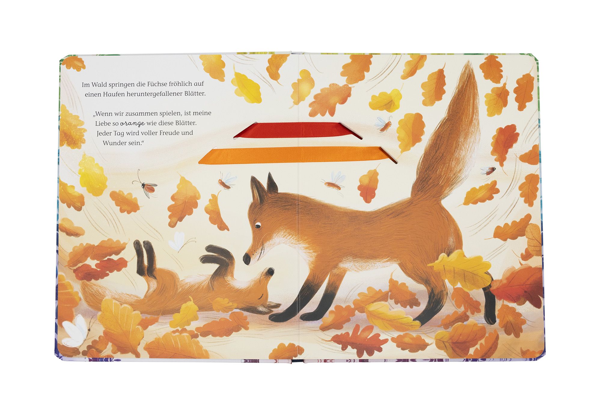 fontis-so-viele-farben-hat-meine-liebe-pappbilderbuch-ab-3-jahre image 6