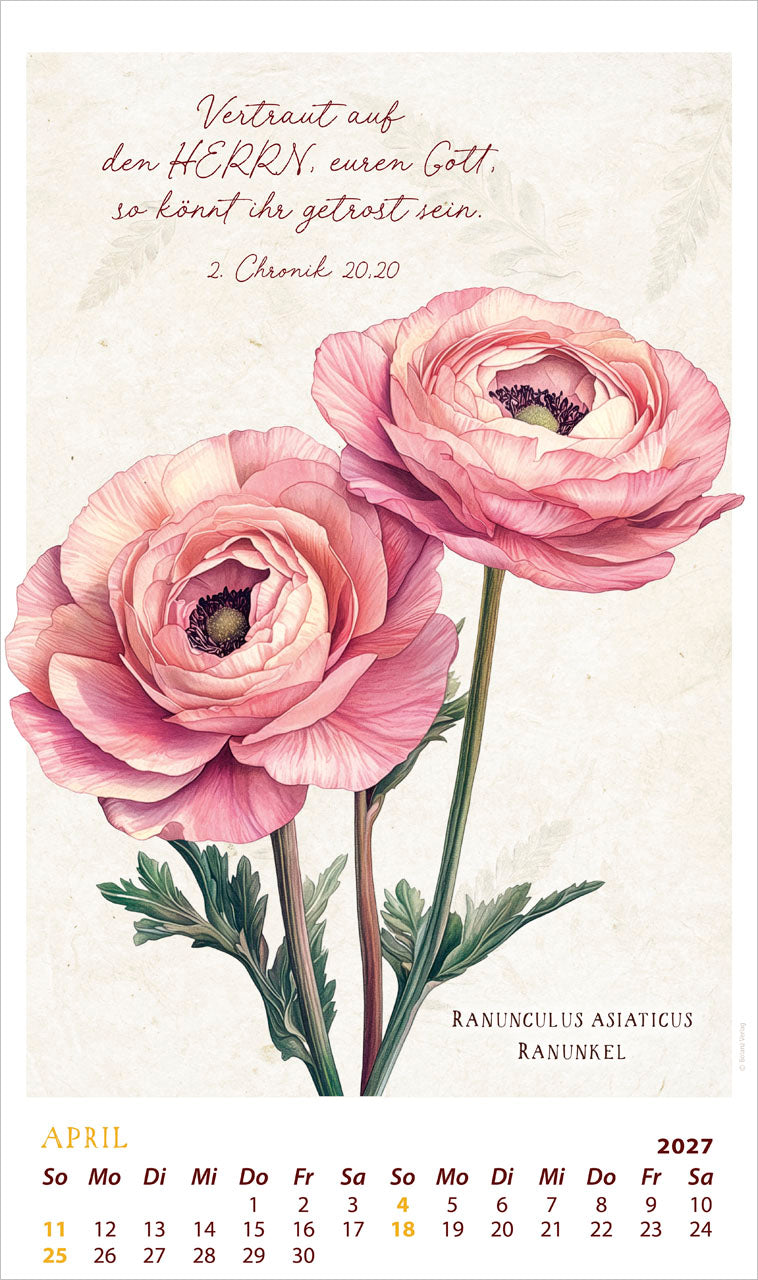 fontis-kalender-schmuckst-cke-des-sch-pfers-2027-posterkalender image 6