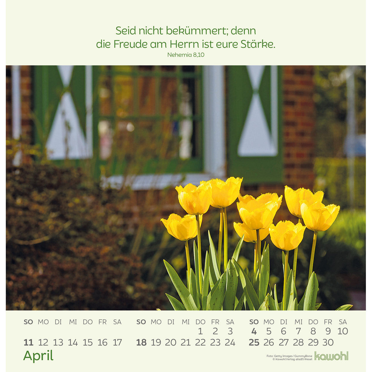fontis-kalender-blumengr-e-2027-wandkalender-blumen image 6