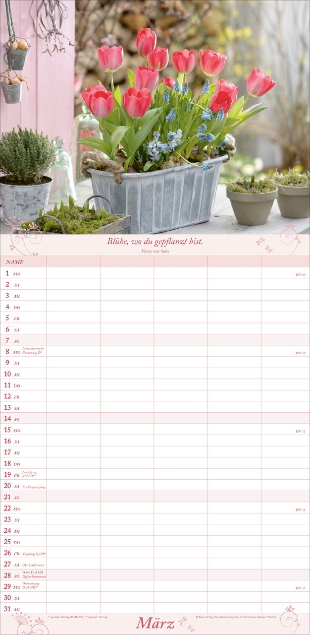 fontis-kalender-gartenfreude-2027-familien-wandplaner-5-spalten image 5